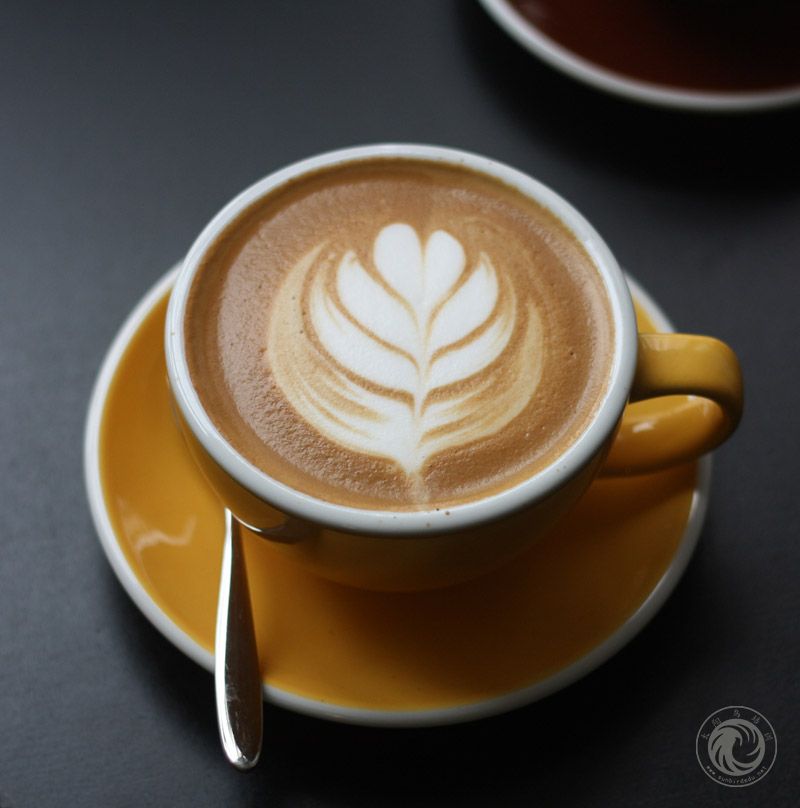 郁金香Cappuccino